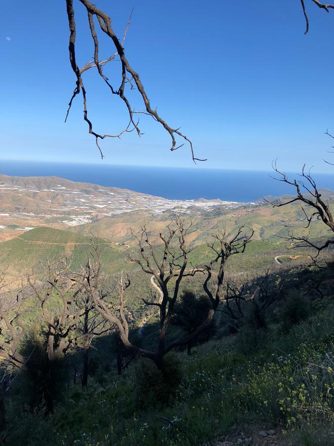 Penzion Cortijo Sancardo Lujar Exteriér fotografie